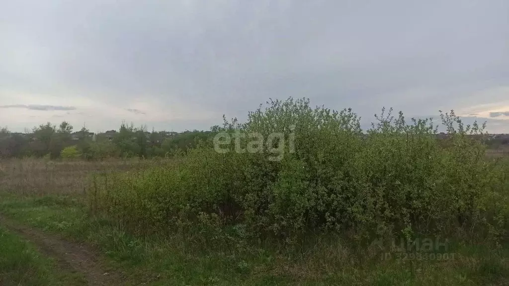 Участок в Белгородская область, Белгородский район, Ериковское с/пос, ... - Фото 2