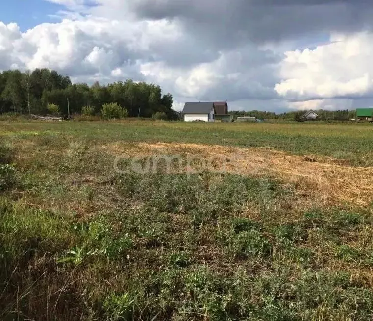 Участок в Тюменская область, Тюменский район, с. Мичурино  (20.0 сот.) - Фото 1