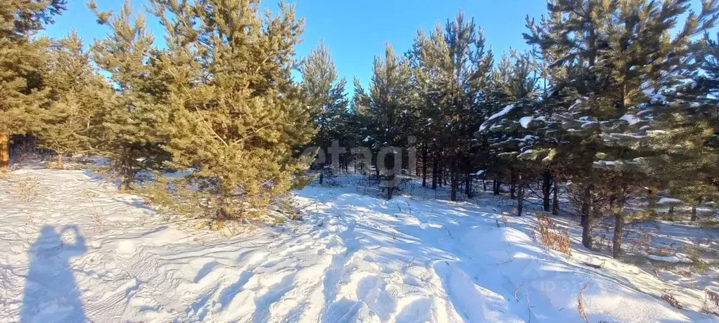Участок в Забайкальский край, Читинский район, пос. Забайкальский  ... - Фото 1