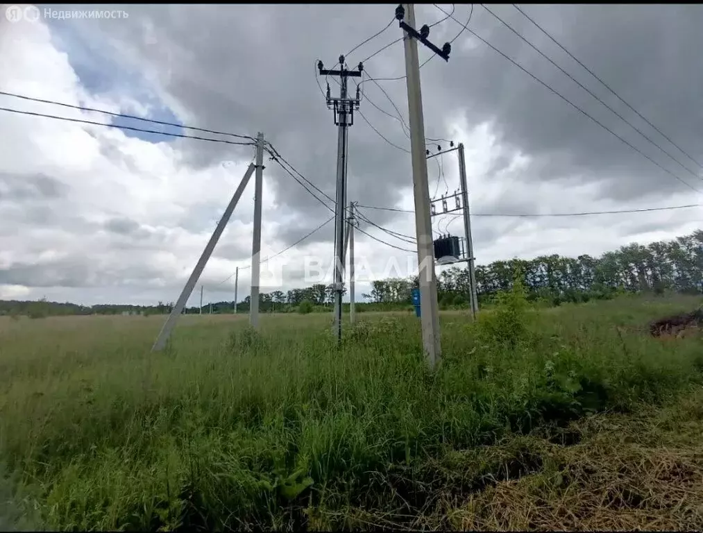 Участок в Московская область, городской округ Коломна, деревня Шапкино ... - Фото 2