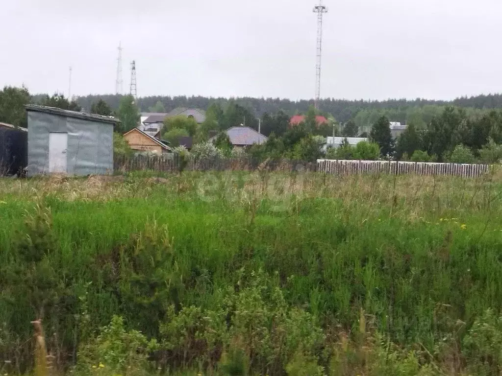 Участок в Свердловская область, Талица ул. Трудящихся (5.0 сот.) - Фото 2
