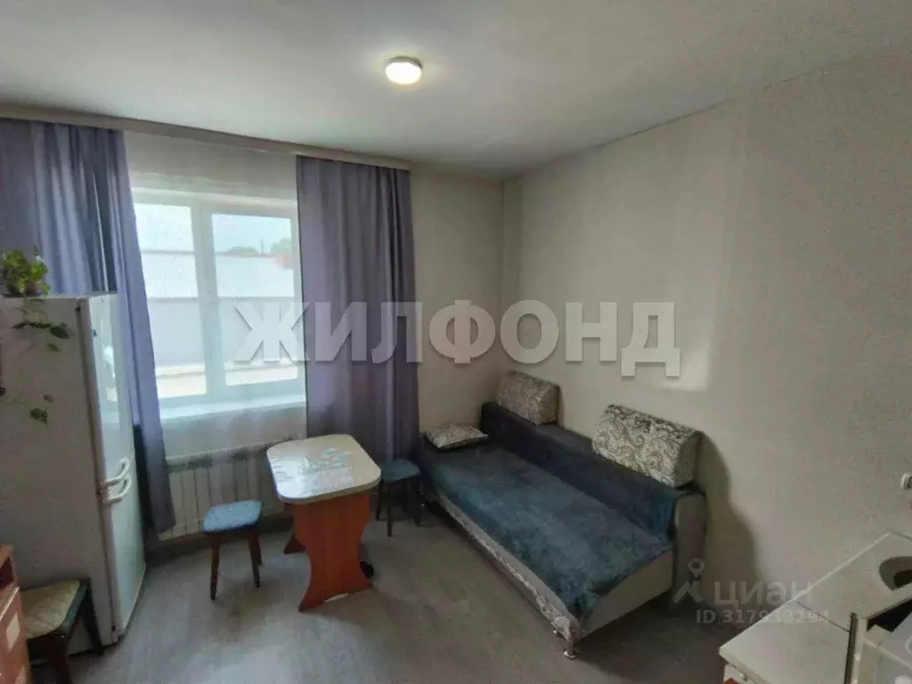1-к кв. Новосибирская область, Новосибирск ул. Солидарности, 13 (19.9 ... - Фото 0