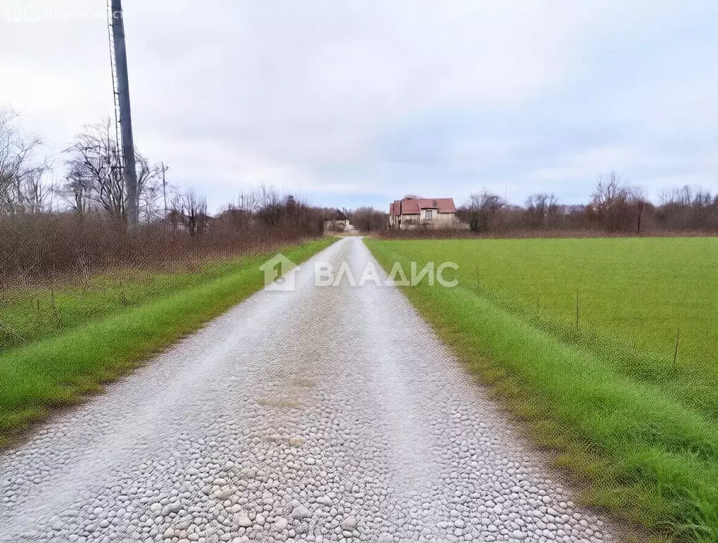 Участок в Калининградская область, Зеленоградский муниципальный округ, ... - Фото 1