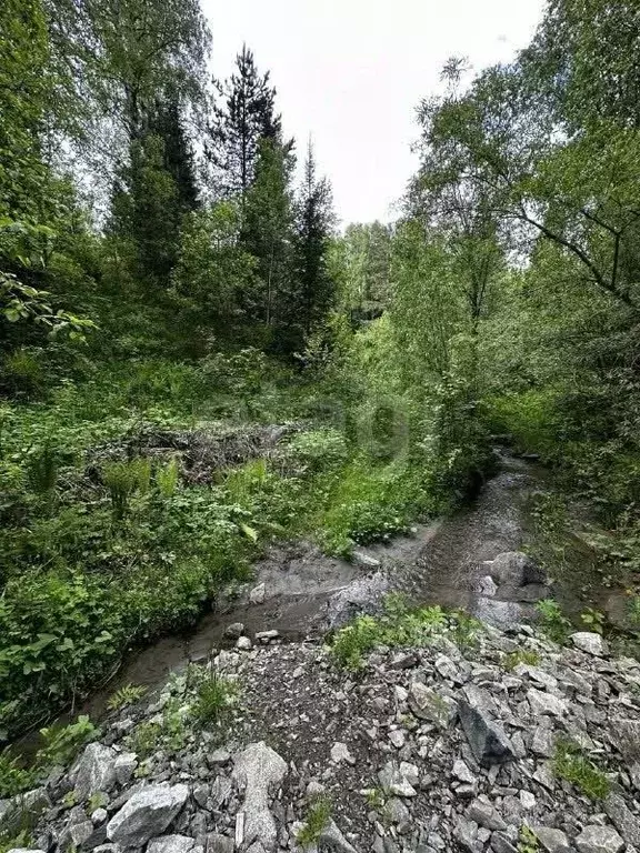 Участок в Алтай, Турочакский район, с. Артыбаш  (20.0 сот.) - Фото 1