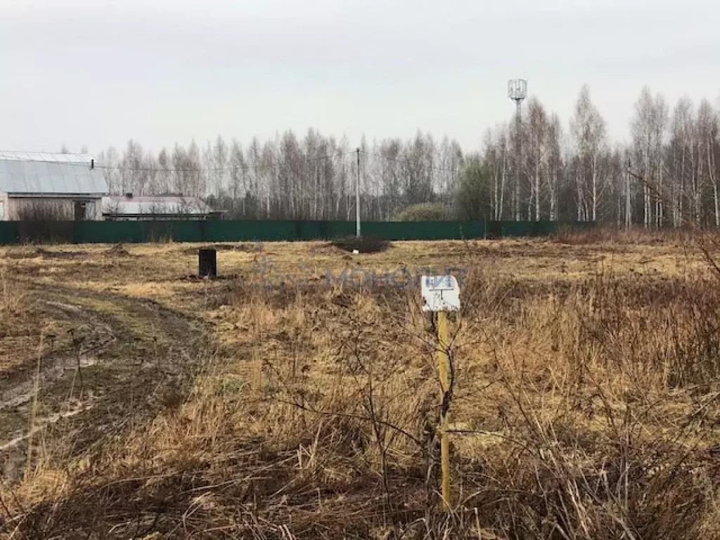 Участок в Нижегородская область, Бор городской округ, д. Борисовка ул. ... - Фото 1