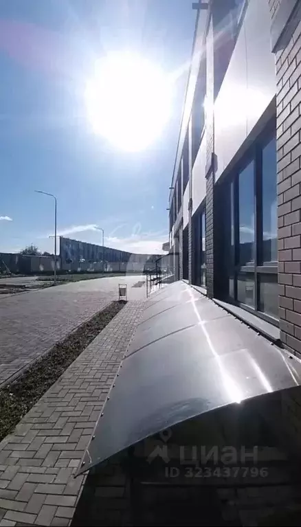 Помещение свободного назначения в Краснодарский край, Краснодар Догма ... - Фото 1