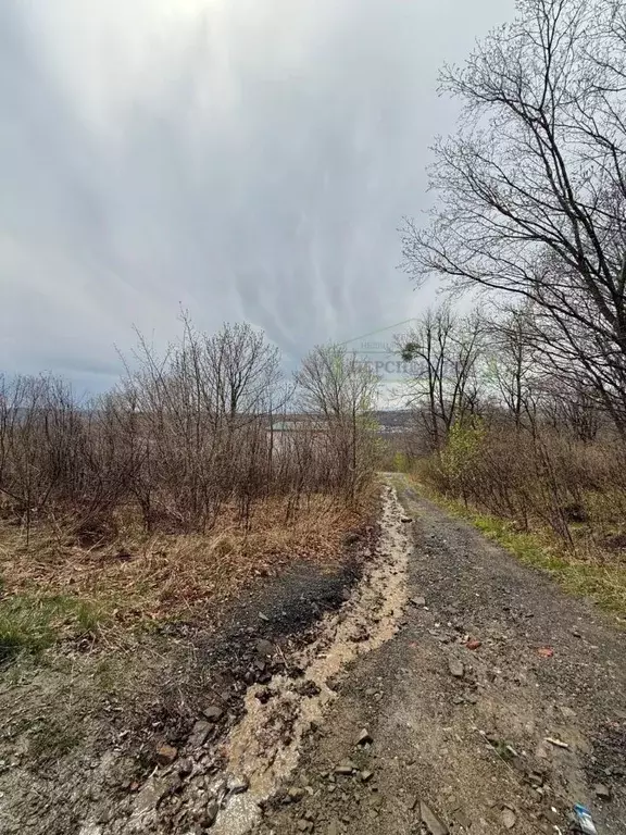 Участок в Приморский край, Артем Глобус-1 СТ, 16 (10.0 сот.) - Фото 2