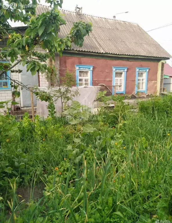 Дом в Унеча, Мглинская улица, 29 (71.1 м) - Фото 0