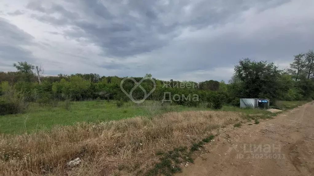 Участок в Волгоградская область, Средняя Ахтуба рп ул. Воровского ... - Фото 2