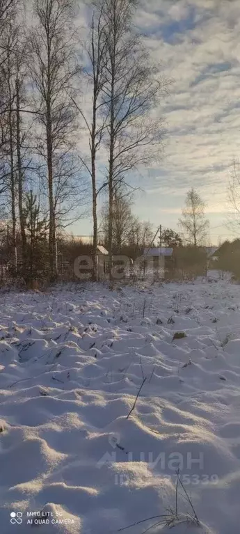 Участок в Ленинградская область, Кировский район, Мгинское городское ... - Фото 1