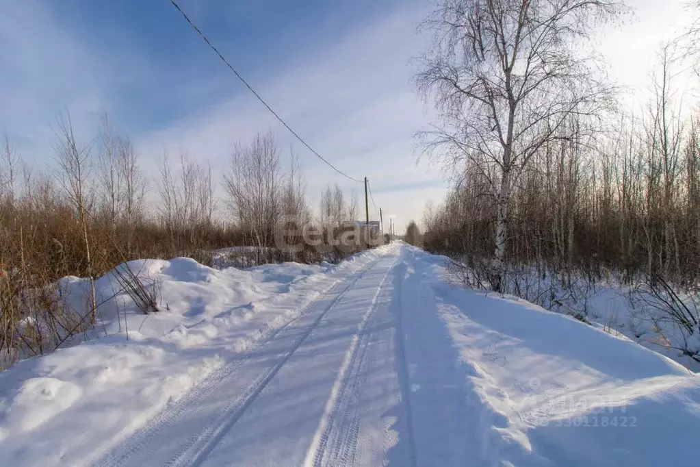 Участок в Тюменская область, Тюмень СОСН Березка-3 тер., ул. 27-я ... - Фото 1