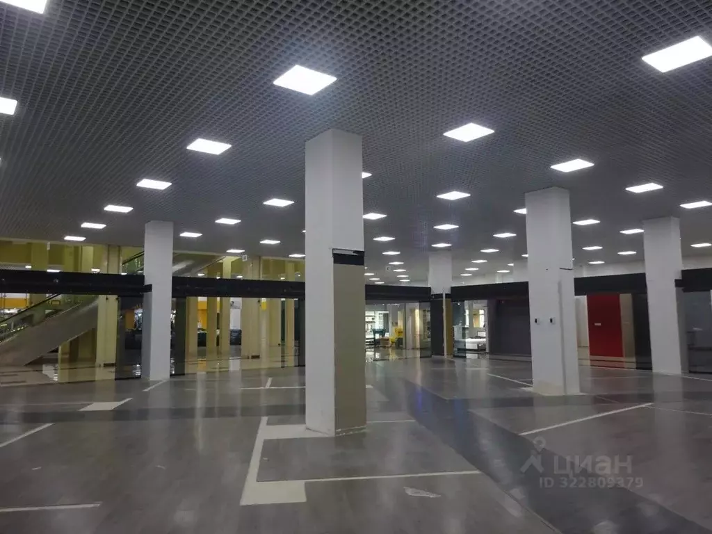 Торговая площадь в Санкт-Петербург Богатырский просп., 18К2 (2015 м) - Фото 1