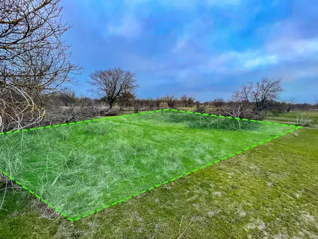 Участок в Крым, Сакский район, Митяевское с/пос, Эскулап СНТ  (5.2 ... - Фото 1