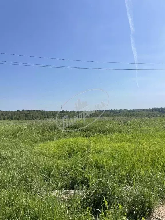 Участок в Калужская область, Дзержинский муниципальный округ, Угорское ... - Фото 2