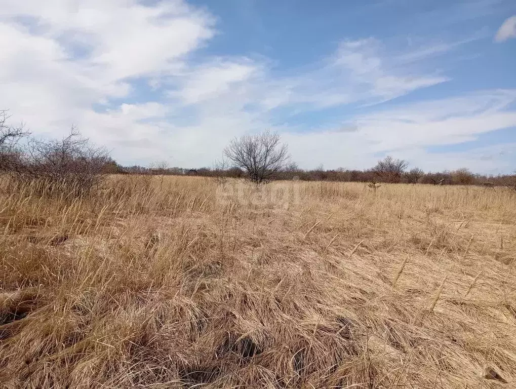 Участок в Курская область, Курский район, Ноздрачевский сельсовет, ... - Фото 1
