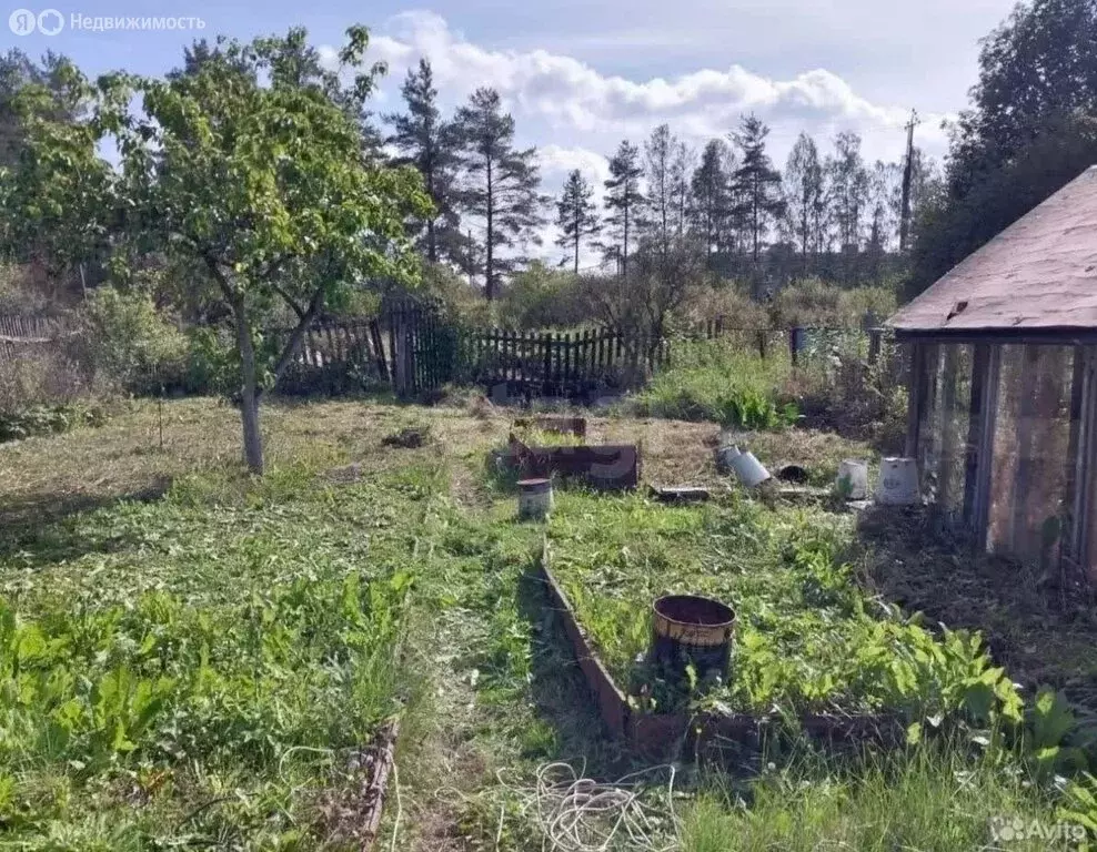 Дом в Красноборское городское поселение, садоводческий массив ... - Фото 2