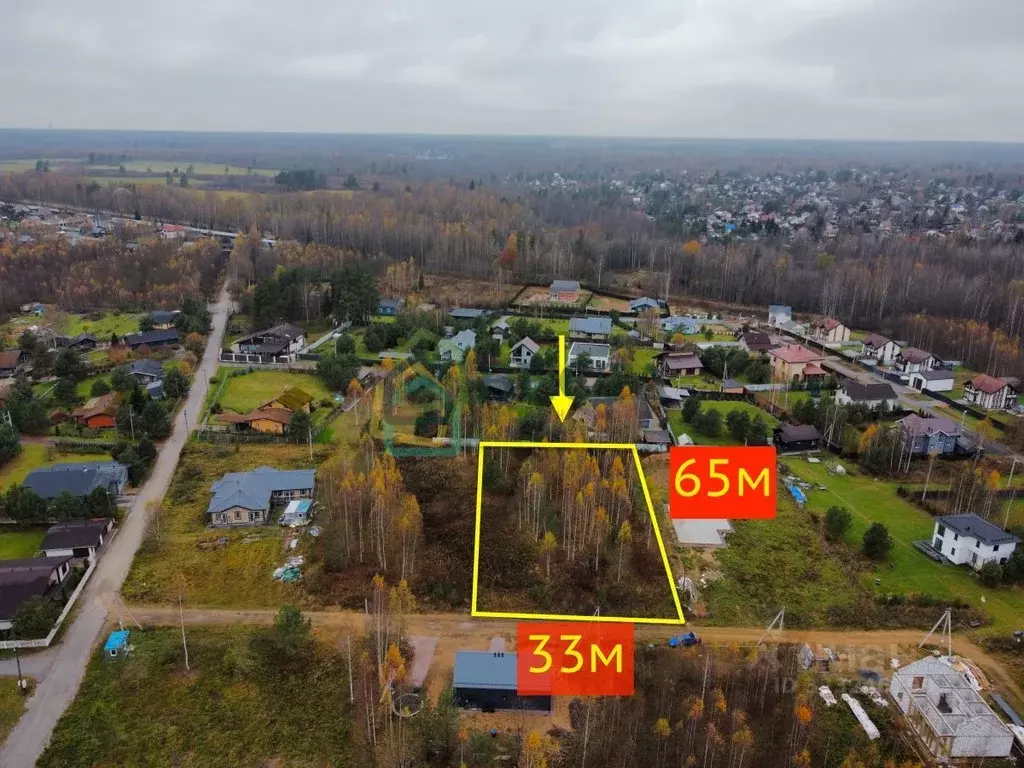 Участок в Ленинградская область, Всеволожский район, Куйвозовское ... - Фото 2