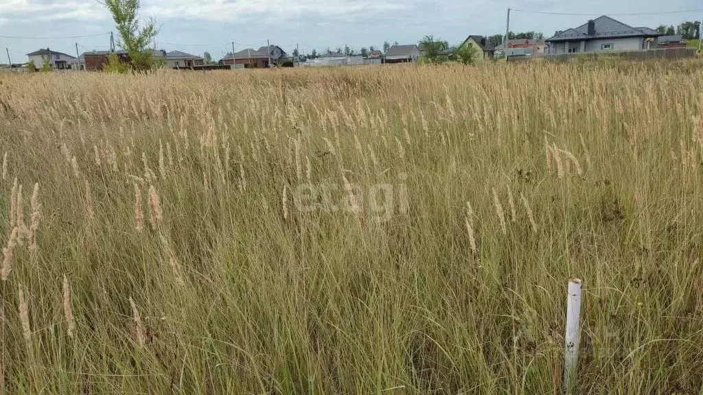 Участок в Воронежская область, Лискинский район, Среднеикорецкое ... - Фото 1