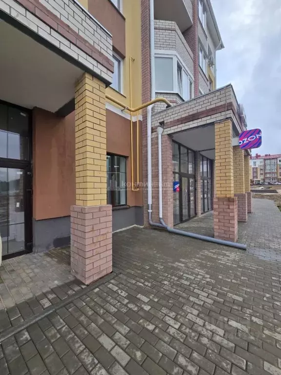 Помещение свободного назначения в Владимирская область, Ковров аллея ... - Фото 1