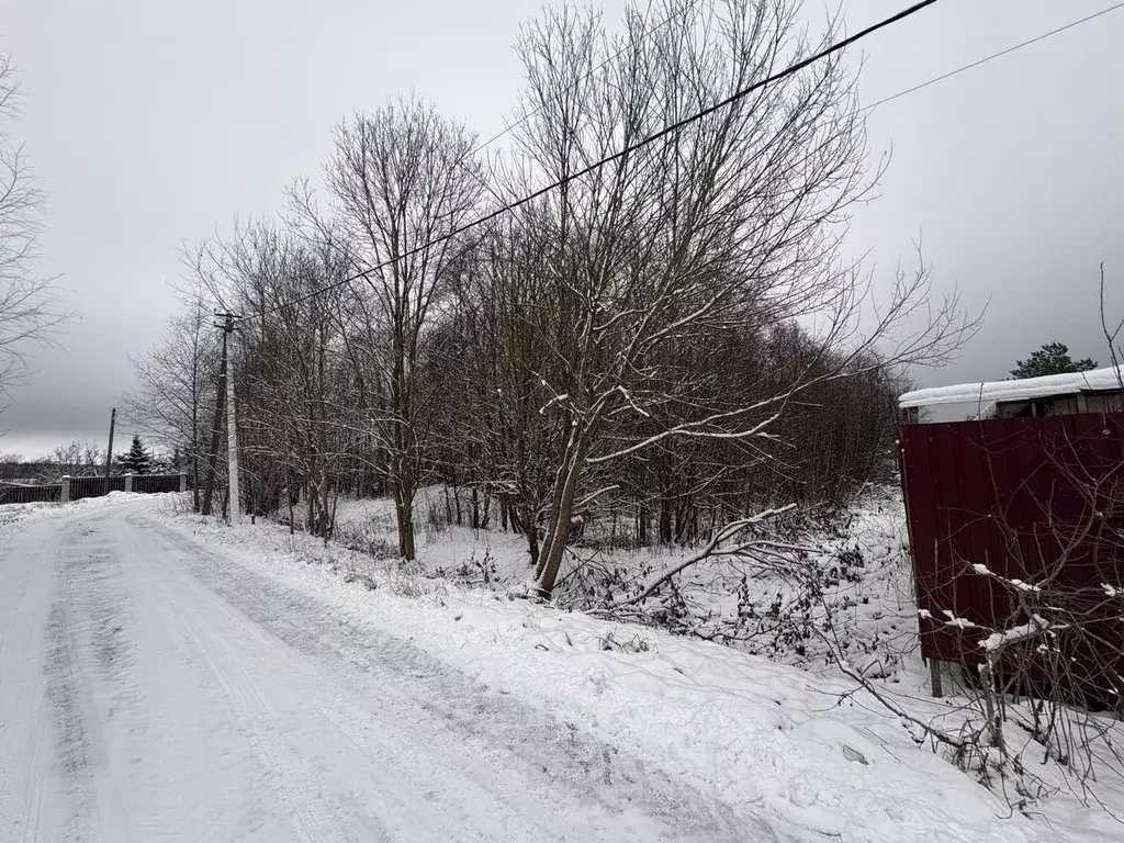 Участок в Ленинградская область, Гатчинский муниципальный округ, д. ... - Фото 2