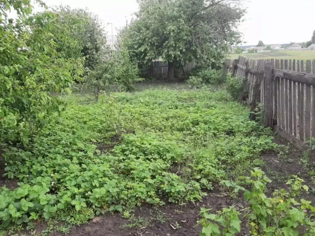 Дом в Белгородская область, Старооскольский городской округ, с. ... - Фото 1