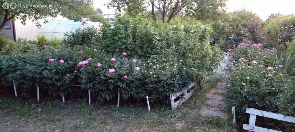 Дом в Дзержинское сельское поселение, СНТ Полёт (25 м) - Фото 2