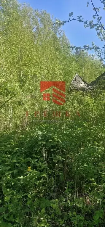 Участок в Пермский край, Краснокамский муниципальный округ, Сюзьва СНТ ... - Фото 0