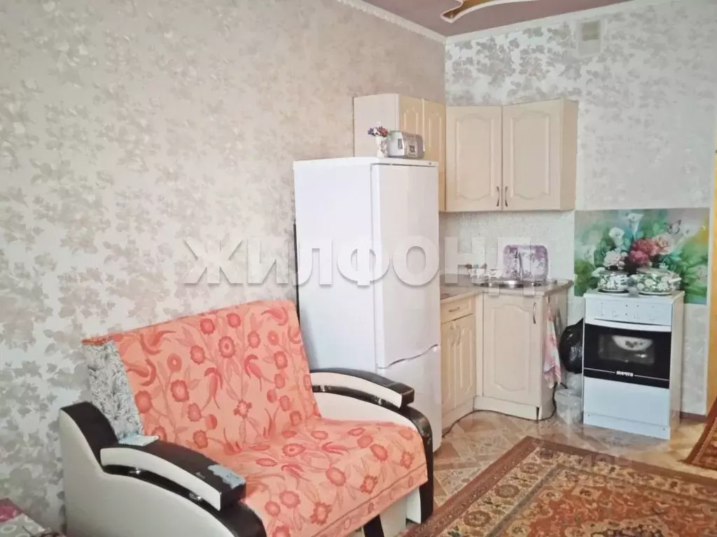 1-к кв. Новосибирская область, Новосибирск Первомайская ул., 226 (27.4 ... - Фото 1