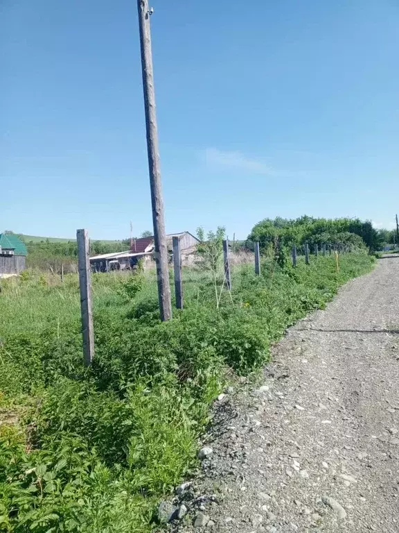 Участок в Алтайский край, Алтайский район, с. Алтайское ул. Ленина, 55 ... - Фото 0