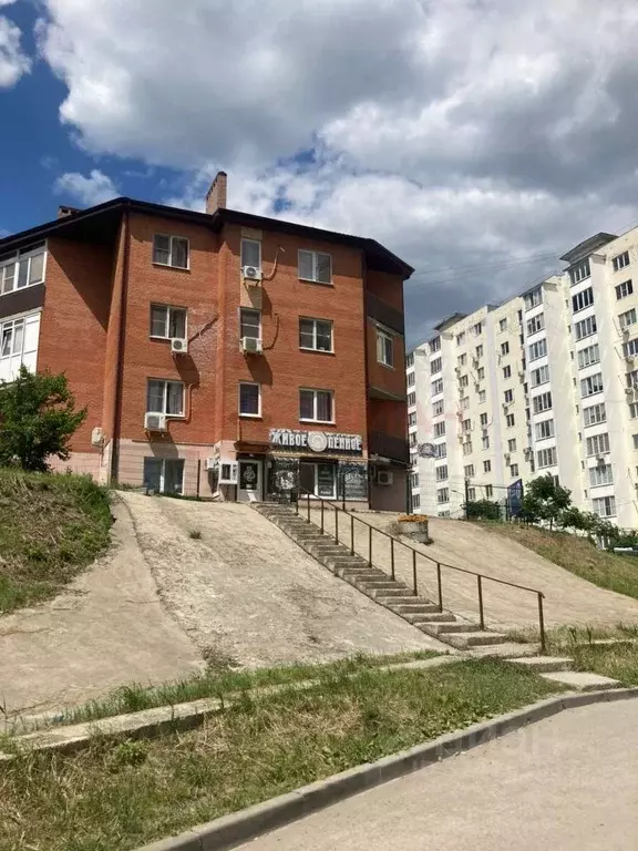 Помещение свободного назначения в Ростовская область, Ростов-на-Дону ... - Фото 1