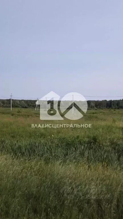 Участок в Новосибирская область, Мошковский район, с. Белоярка ул. ... - Фото 0