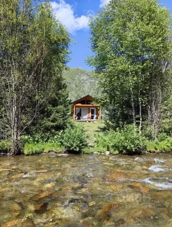 Дом в Алтай, Онгудайский район, с. Купчегень  (16 м) - Фото 0