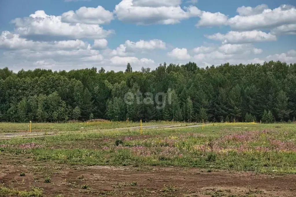 Участок в Ярославская область, Ярославский муниципальный округ, ... - Фото 0