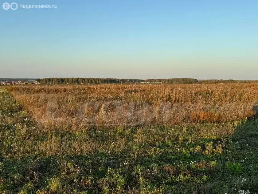 Участок в Тюменская область, село Ярково (13.5 м) - Фото 0