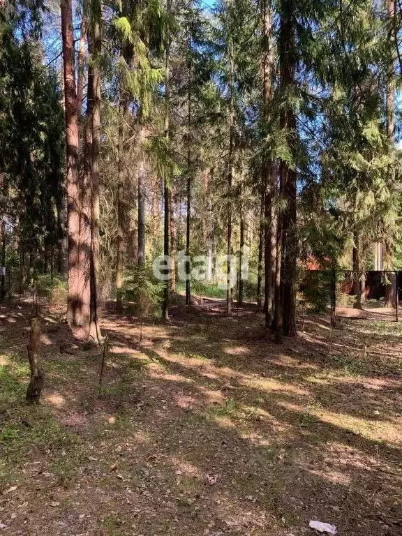 Участок в Ленинградская область, Гатчинский муниципальный округ, ... - Фото 1