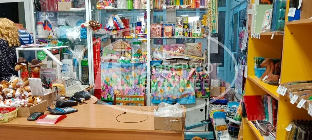 Торговая площадь в Удмуртия, Сарапул Центральный жилрайон, ул. ... - Фото 2