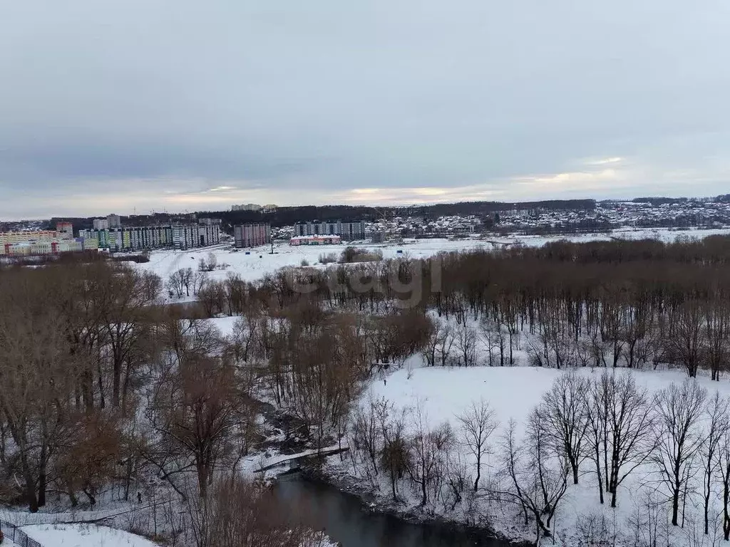 1-к кв. Брянская область, Брянск Мининская ул., 50 (49.4 м) - Фото 1