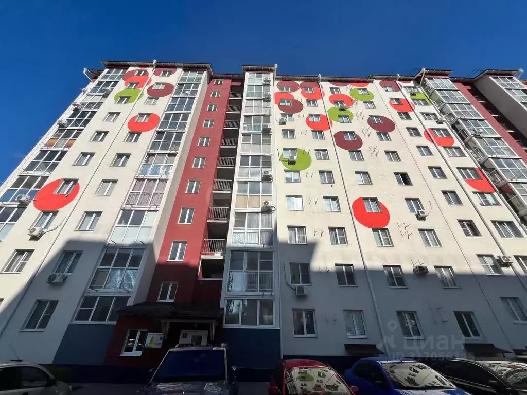 Студия Курская область, Курск Рябиновая ул., 26Б (22.0 м) - Фото 1