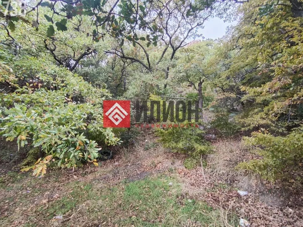 Участок в Крым, Ялта Ени-Дерекой мкр,  (4.8 сот.) - Фото 2