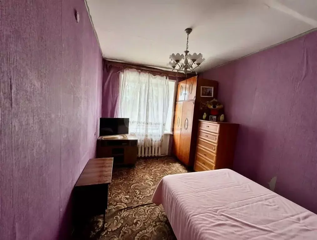 3-к кв. Владимирская область, Петушки Трудовая ул., 4 (65.9 м) - Фото 1