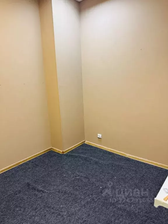 Помещение свободного назначения в Псковская область, Псков ул. Яна ... - Фото 2