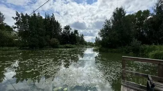Участок в Московская область, Мытищи городской округ, д. Юрьево  ... - Фото 2