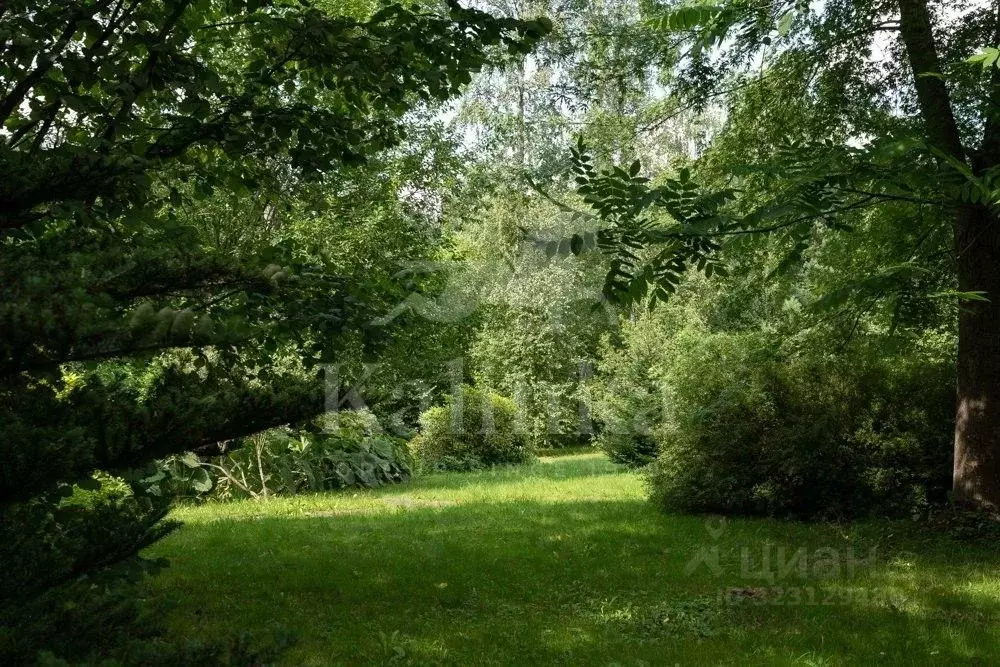 Участок в Московская область, Одинцовский городской округ, д. Бородки, ... - Фото 1