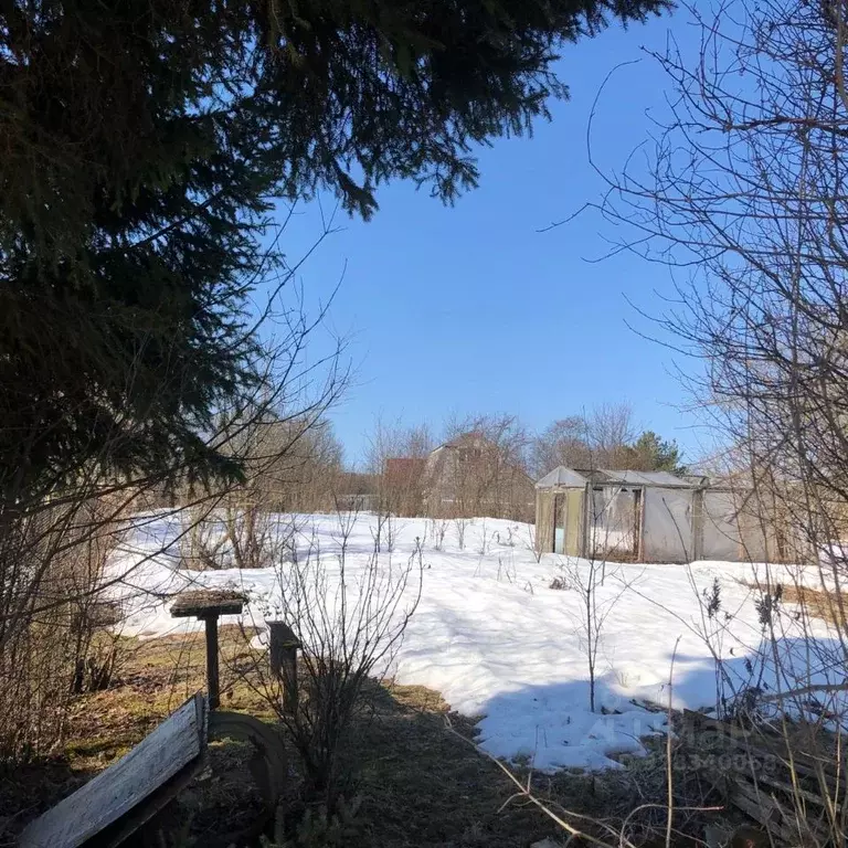 Участок в Вологодская область, д. Болтино, Нива СТ  (7.7 сот.) - Фото 1