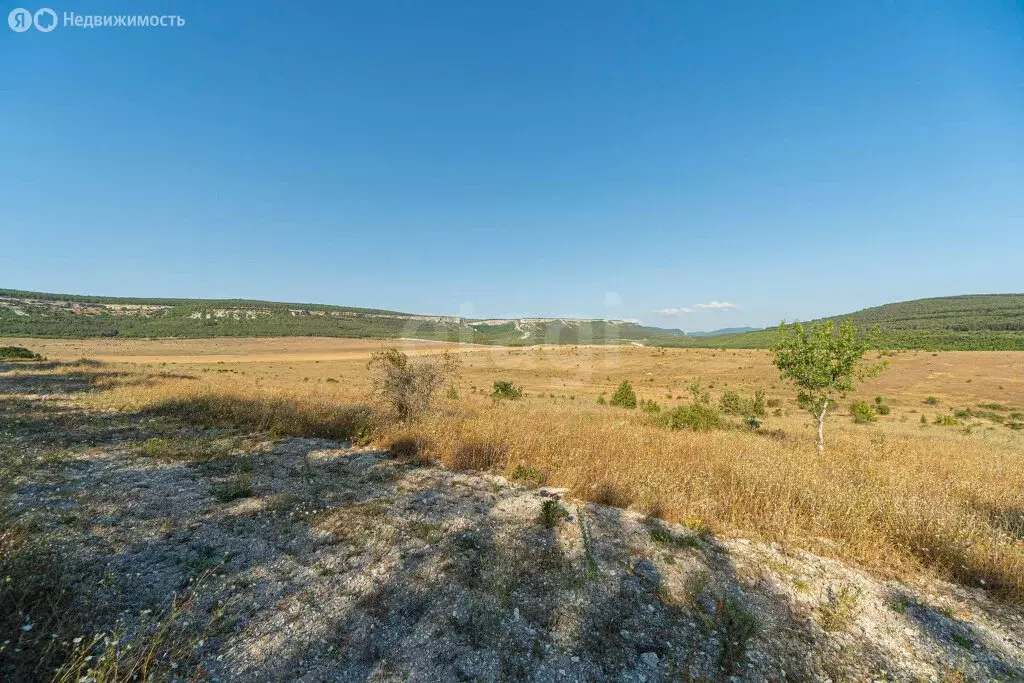 Участок в Терновский муниципальный округ, КСП Память Ленина (187 м) - Фото 2