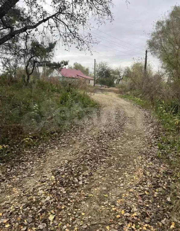 Дом в Орловская область, Свердловский район, Кошелевское с/пос, д. ... - Фото 2