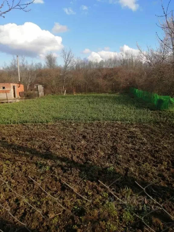 Участок в Краснодарский край, Новокубанск Кубань СНТ, ул. Грушевая ... - Фото 0