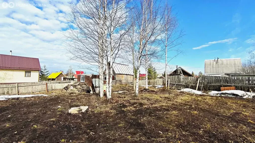 Участок в Архангельская область, Приморский муниципальный округ, СНТ ... - Фото 2