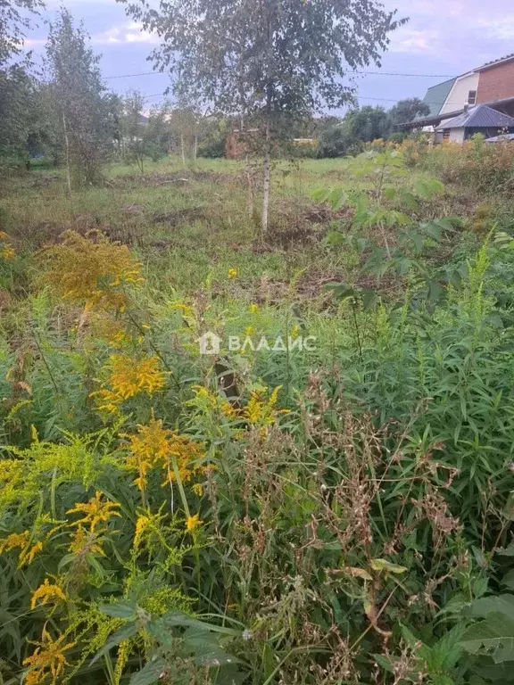 Участок в Нижегородская область, Нижний Новгород городской округ, д. ... - Фото 2