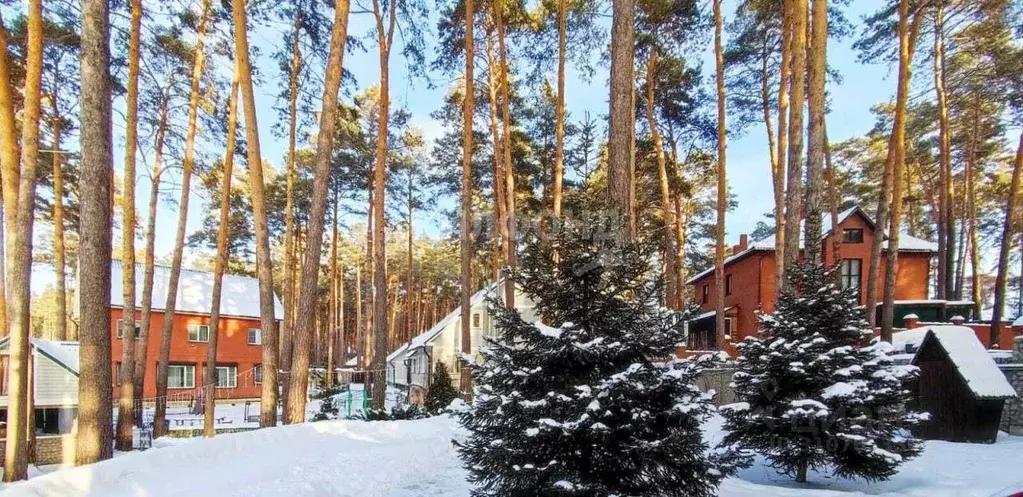 Коттедж в Новосибирская область, Новосибирский район, Кудряшовский дп ... - Фото 0